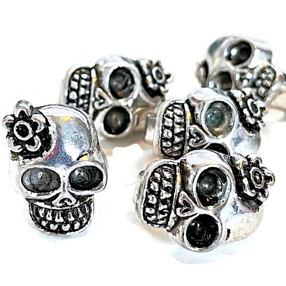 🔥$1 Clearance Sugar Skull Beads Dia De Los Muertos Sliders 18x12mm (6)